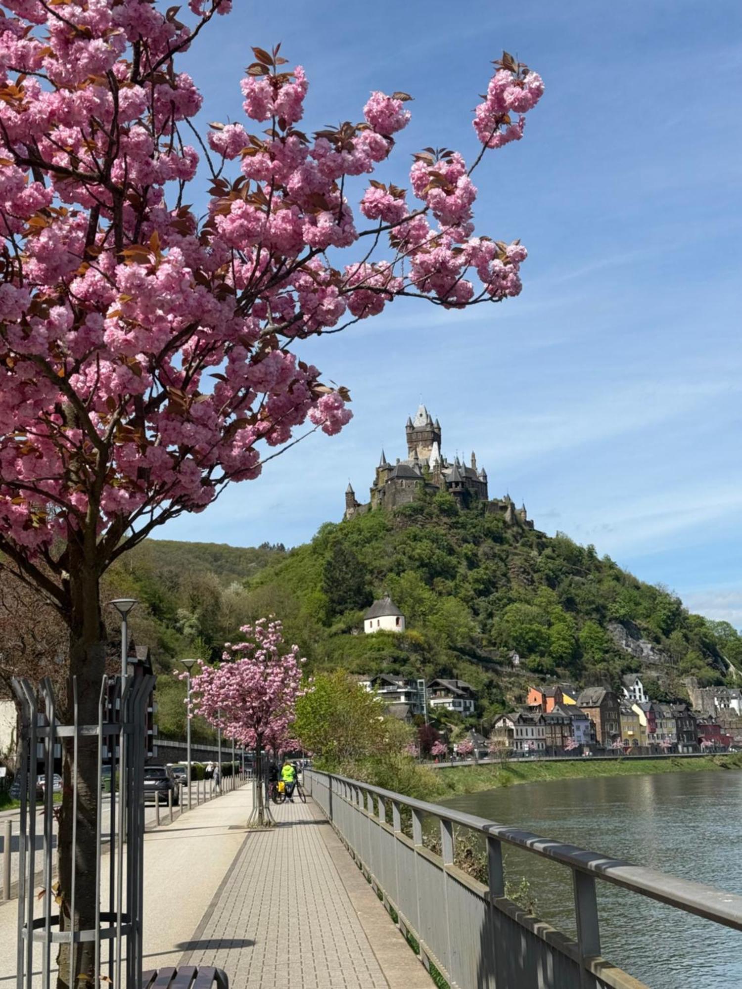 Haus Rubi Apartment Cochem Luaran gambar
