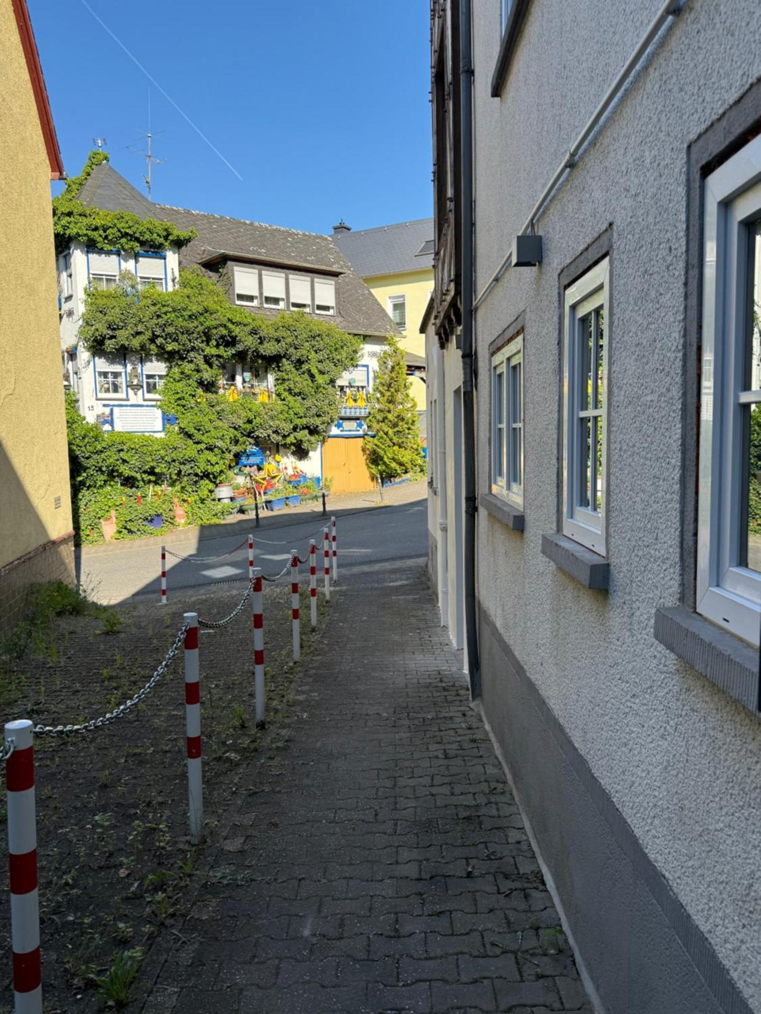 Haus Rubi Apartment Cochem Luaran gambar